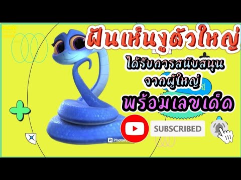 ฝันเห็นงูใหญ่ฝันดี(พร้อมเลขเด