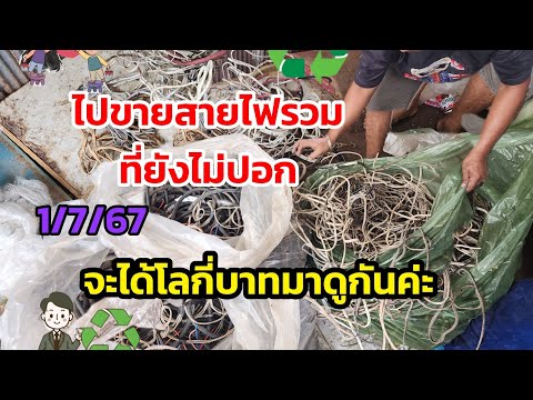 ขายสายไฟในรอบ1ปีมาดูกันค่ะจะไ