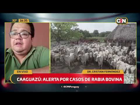 Caaguazú: Alerta por casos de rabia bovina