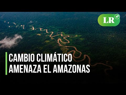 Cambio climático amenaza el Amazonas