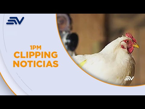 Gripe aviar: Menor contagiada se mantiene estable | Televistazo | Ecuavisa
