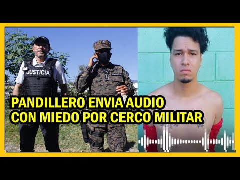 Ministro revela audio de B4nd1ller0 muy preocupado | Tema troles y viaje a Costa Rica