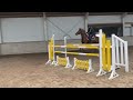 Show jumping horse Leuke 13 jarige springruin