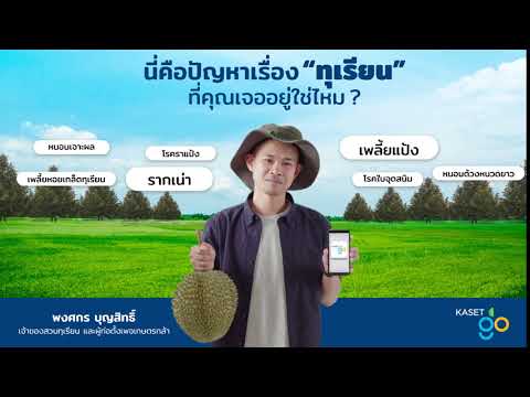 ทุกปัญหาเรื่องทุเรียน-มีคำตอบท ทุกปัญหาเรื่องทุเรียน-มีคำตอบท