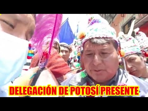 DELEGACIÓN DE POTOSÍ PRESENTE EN LA POSESIÓN DE LUIS ARCE CATACORA..