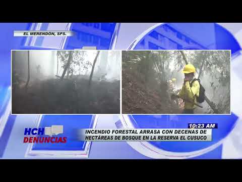 ¡Lamentable! incendio forestal arrasa decenas de hectareas de bosque en la reserva El Cusuco