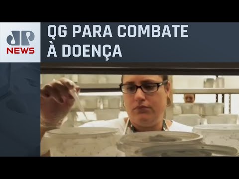 Governo de São Paulo cria centro de operações para monitorar dengue