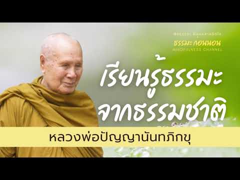 ธรรมะสอนใจ-ปล่อยวาง-I-หลวงพ่อป ธรรมะสอนใจ-ปล่อยวาง-I-หลวงพ่อป