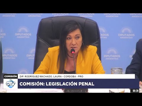 COMISIÓN EN VIVO: LEGISLACIÓN PENAL - 24 de abril de 2024 - Diputados Argentina