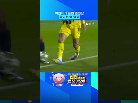 야말 플립 플랩 ㅎㄷㄷ 
