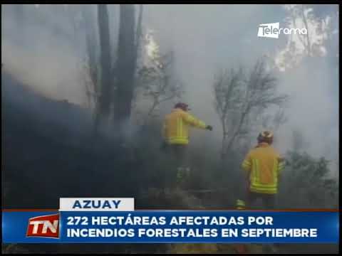 272 hectáreas afectadas por incendios forestales en septiembre