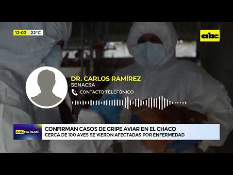 Confirman casos de gripe aviar en el Chaco