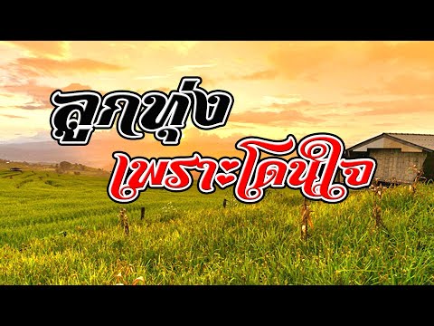 รวมเพลงลูกทุ่งเพราะโดนใจมาก รวมเพลงลูกทุ่งเพราะโดนใจมาก