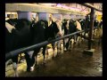Скотоводство: Дойка коров в Израиле