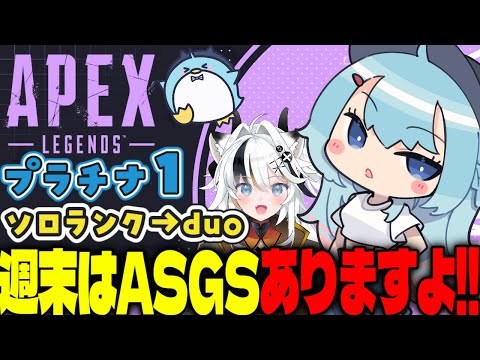 【APEX/プラチナ1】週末はASGS！初見さんもおはよう🌞キーマウソロランク→元章とduo【xTies_ゆるりめぐ/vtuber】