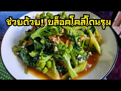 ช่วยด้วย!ปลูกบล็อคโคลี่15ต้น-ไ ช่วยด้วย!ปลูกบล็อคโคลี่15ต้น-ไ