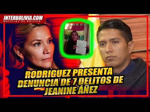 ? ANDRÓNICO RODRIGUEZ informa que presentó una DENUNCIA FORMAL contra de la exsenadora JEANINE ÁÑEZ
