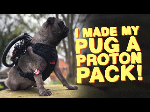 I MADE A GHOSTBUSTERS PROTON PACK... FOR MY PUG!