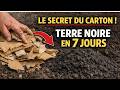 Ne jetez JAMAIS le carton ! La m?thode secr?te pour cr?er une terre RICHE ET SOMBRE en seulement[2]