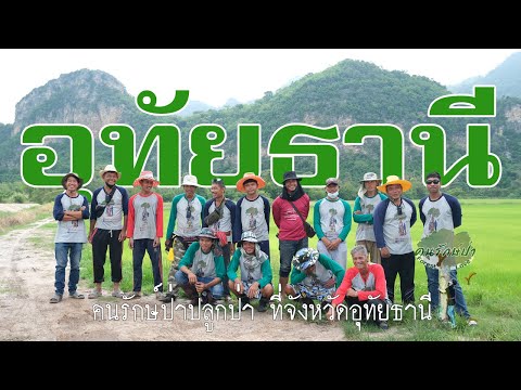 เปลี่ยนนาข้าว-ให้เป็นป่า-สีเขี เปลี่ยนนาข้าว-ให้เป็นป่า-สีเขี