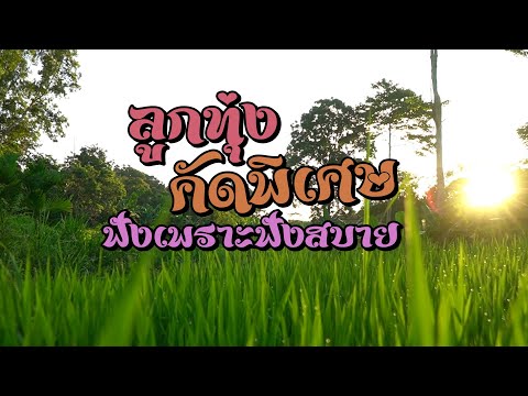 ลูกทุ่งคัดพิเศษฟังเพราะฟังสบา