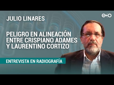 Julio Linares : preocupa alineamiento de Adames y el presidente Cortizo | RadioGrafía
