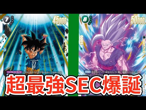 常識を覆す最強SECコンビ爆誕‼️黒緑全体が超強化⁉️【神龍への願い】【DBFW】