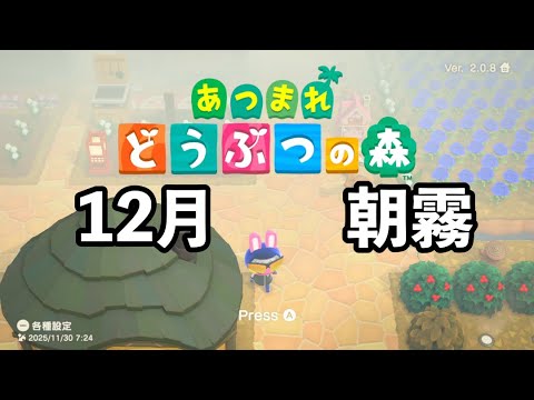 #あつ森 12月1日(月)12月になりました。あつ森の朝は濃霧でした