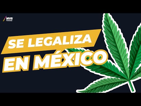 Legalización de la m@r¡hu4n@ en México ¿una realidad?