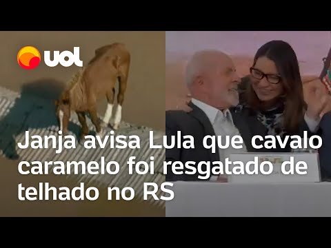 Cavalo ilhado em Canoas (RS): No meio da coletiva, Janja avisa Lula que o animal foi resgatado; veja