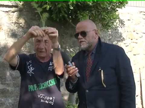 CAROTE un ortaggio facile da coltivare
