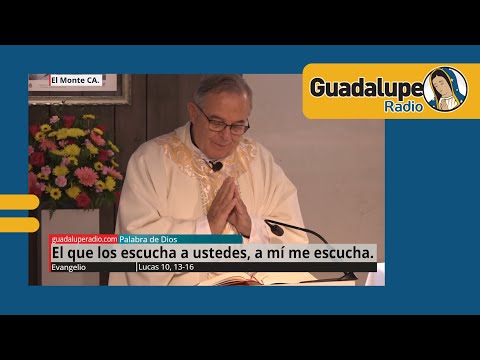 Evangelio de hoy 4/octubre/2024