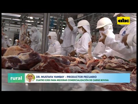 Cuatro ejes para mejorar comercialización de carne bovina de Paraguay