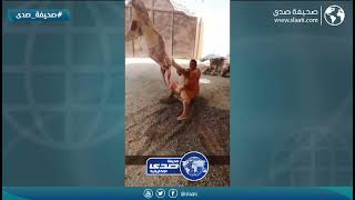 ليته ارتاح مكانه