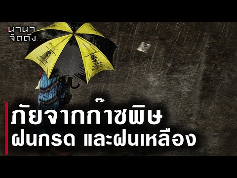 ภัยจากท้องฟ้าฝนกรดฝนเหลืองก