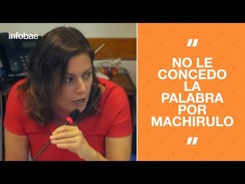 El fuerte cruce entre la diputada Vanesa Siley y Mario Negri