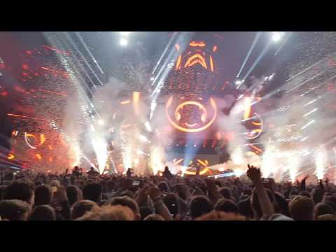 Dimitri Vegas & Like Mike - All I Need (feat. Delaney Jane)
