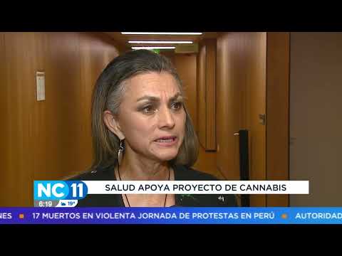 Funcionarios del Ministerio de Salud apoyan proyecto de cannabis recreativa