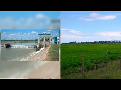 Distrito Municipal Agua Santa Del Yuna;  Zona arrocera y agrícola en vías de desarrollo