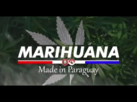 ? Documentos Telediario: Marihuana made in Paraguay