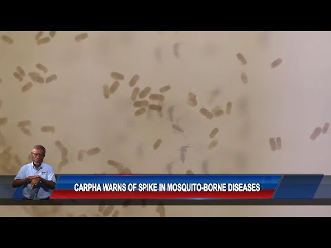 CARPHA Mosquito Awareness