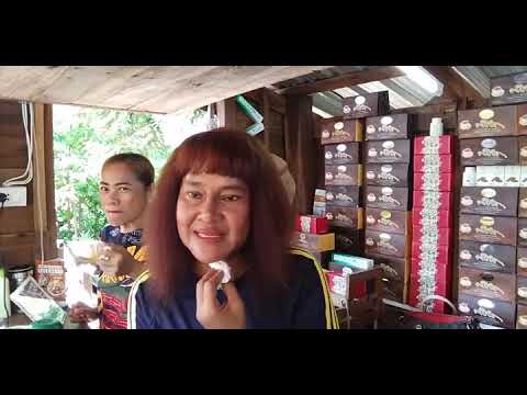 ภูมิคุ้มกันคืออะไร ภูมิคุ้มกันคืออะไร