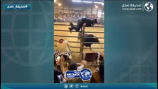 ثور يهاجم فتاة بوحشية