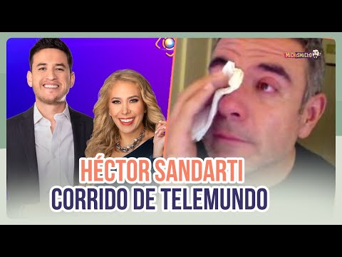 Héctor Sandarti fuera de Telemundo | MICHISMESITO