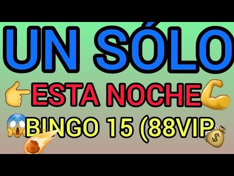 UN SÓLO ESTA NOCHE BINGO 15 VIP 88