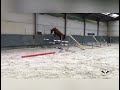 حصان القفز talentvolle springpaarden te koop