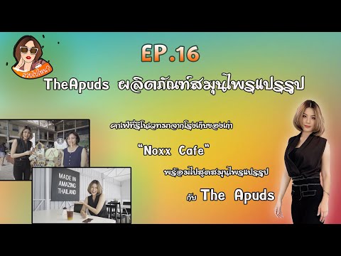 สวยไปไหน-EP.16-The-Apuds-สมุนไ สวยไปไหน-EP.16-The-Apuds-สมุนไ