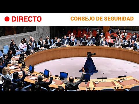 ISRAEL-GAZA  EN DIRECTO: El CONSEJO de SEGURIDAD aborda la cuestión PALESTINA | RTVE Noticias