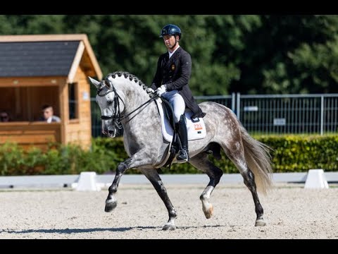 Pedro Hernández y Valen Medidor en la Small Final de 7 años (68.159%)