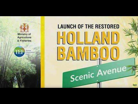 Ministry of Agriculture and Fisheries Launch || Restored Holland Bamboo Scenic Avenue - June 2, 2022
